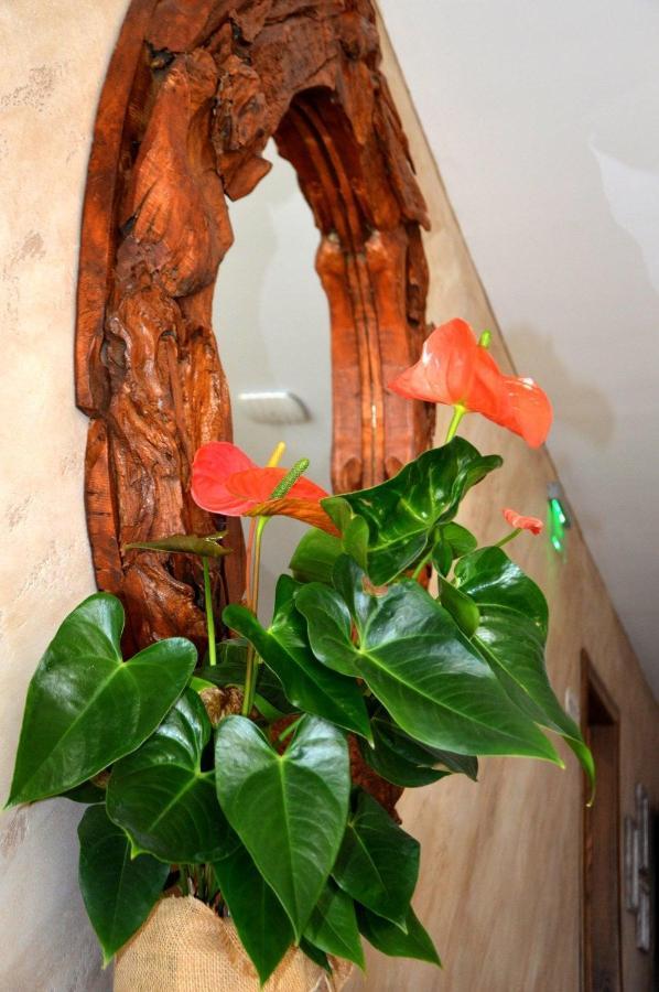 Boutique Villa Amalia Chernomorets Bagian luar foto